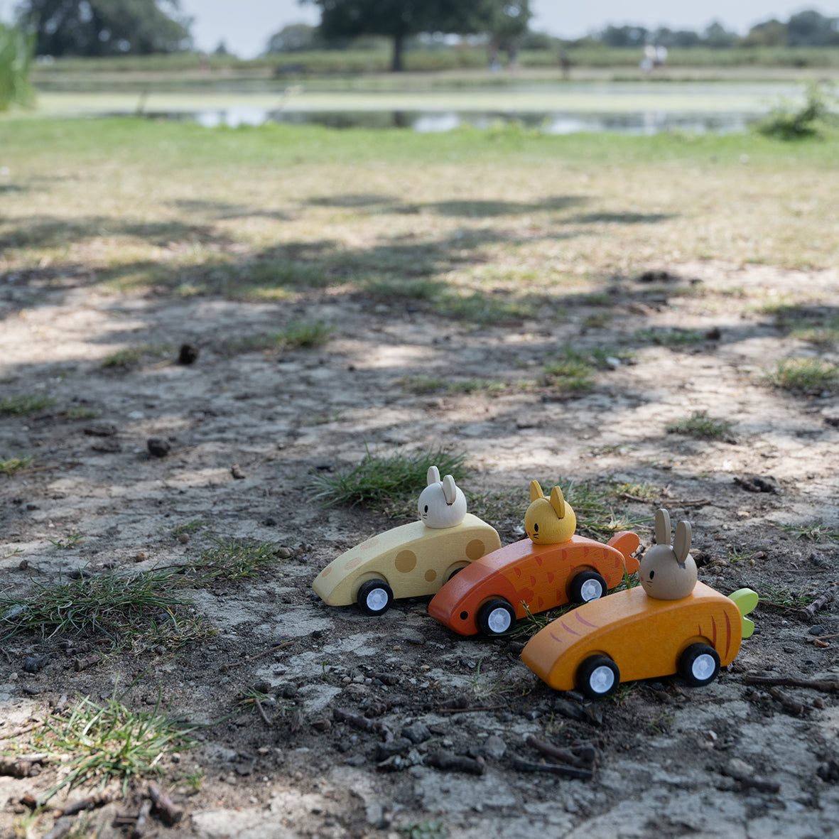 Animal Friends Racing cars