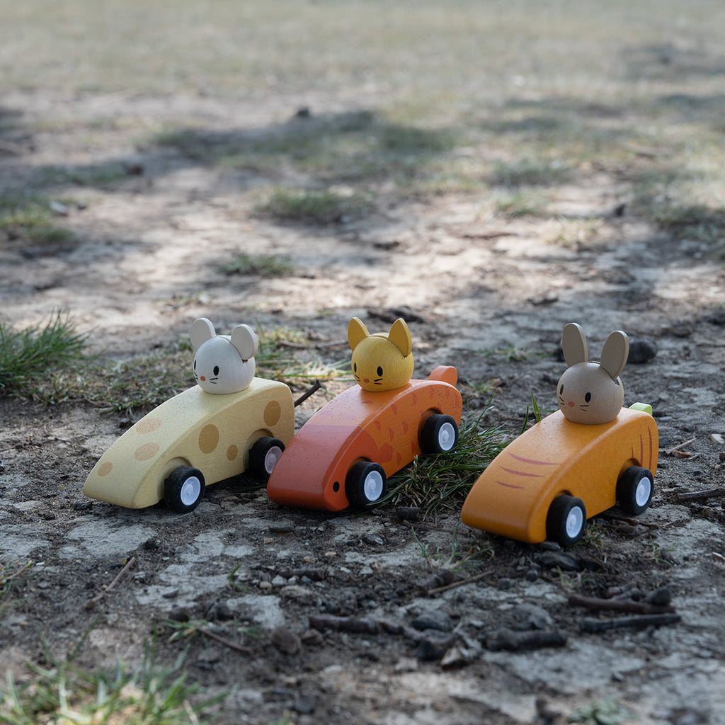 Animal Friends Racing cars