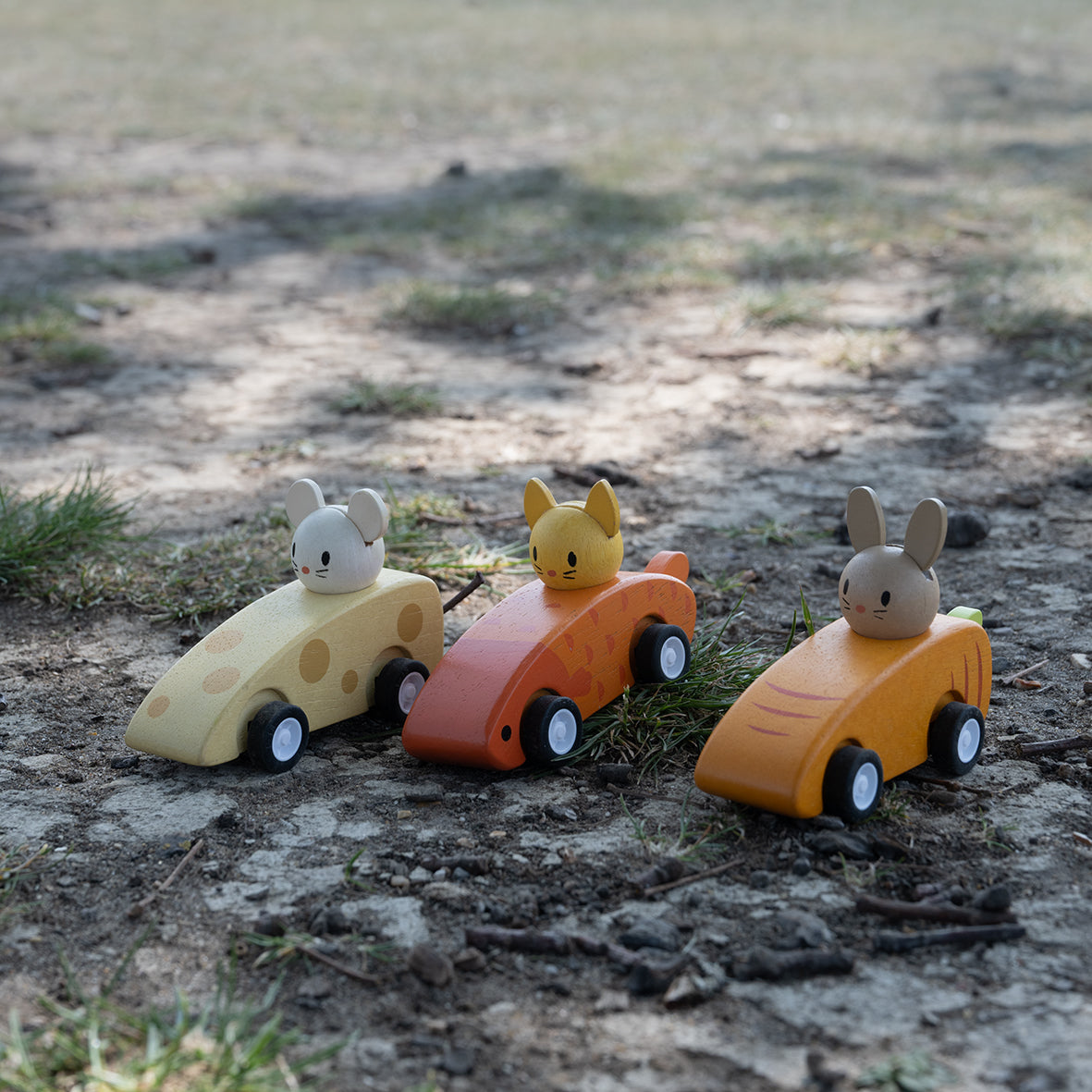 Animal Friends Racing cars