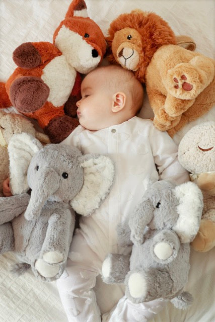 Cloud B Frankie the Fox Baby Sound Soother & Sleep Aid