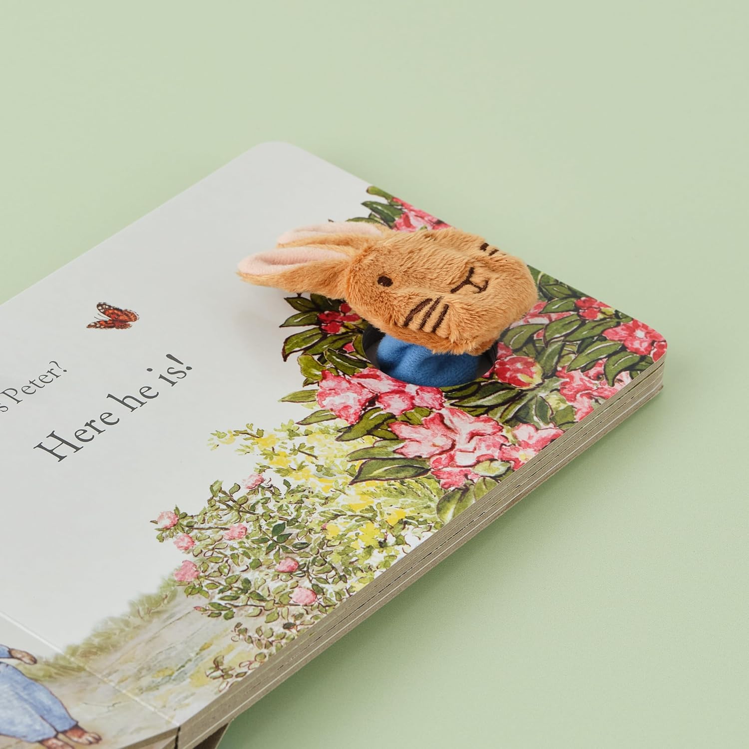 Rainbow Designs Peter Rabbit Finger Puppet Book