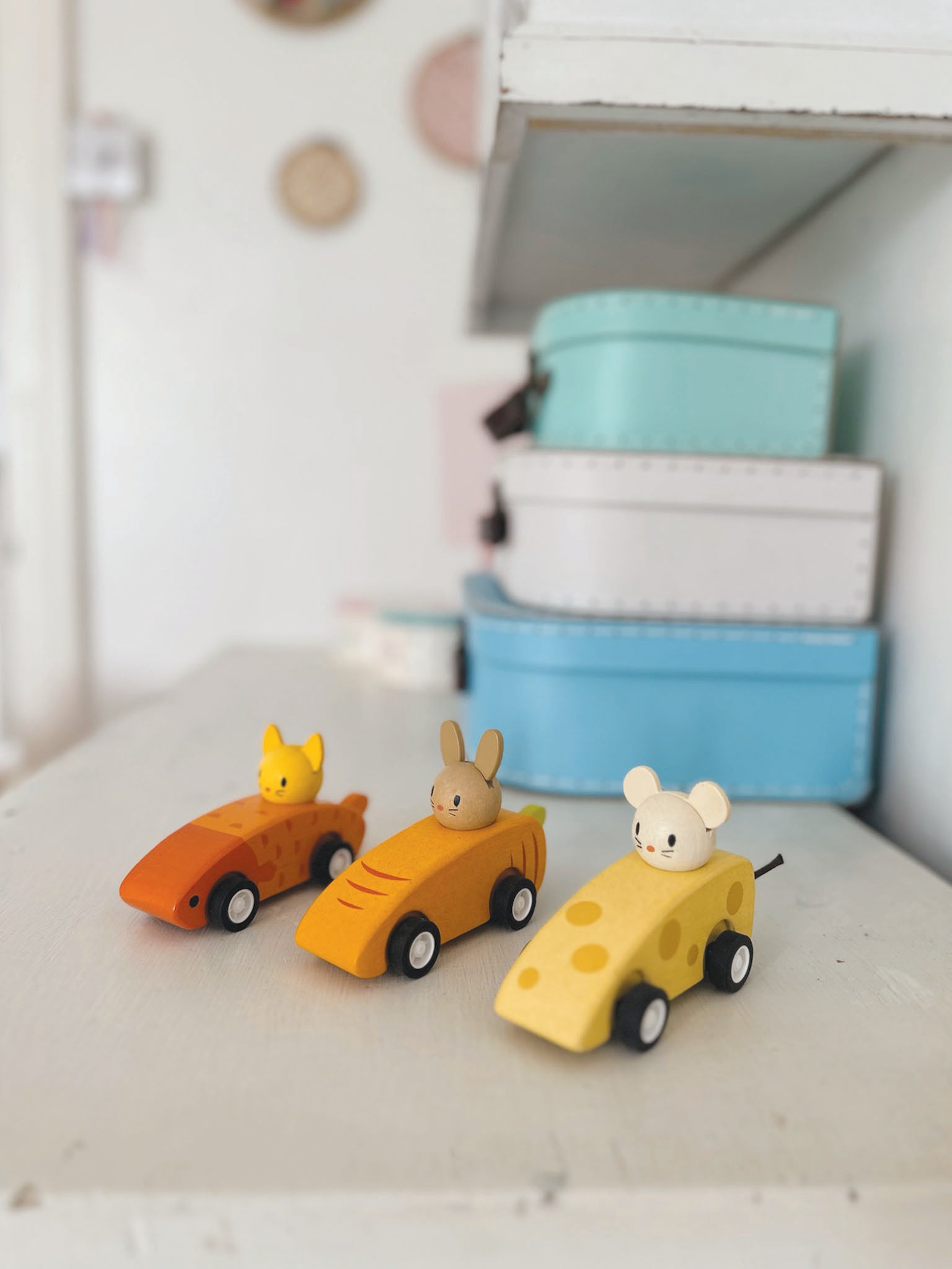 Animal Friends Racing cars