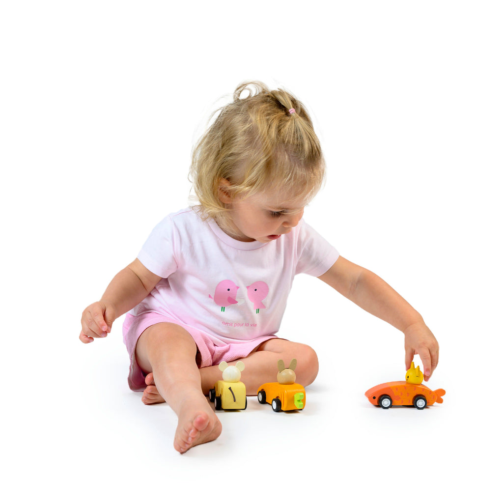 Animal Friends Racing cars