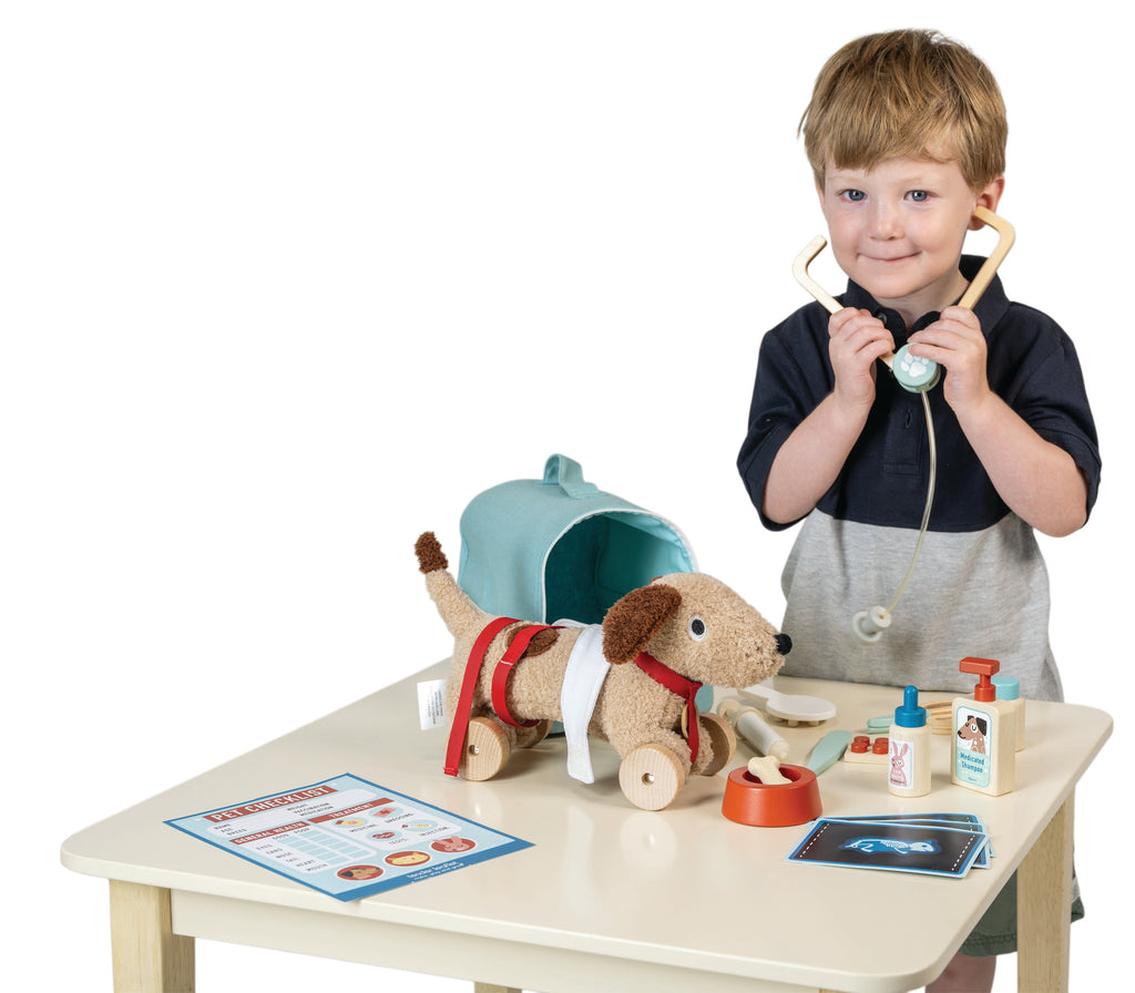 Animal Rescue Vet Set