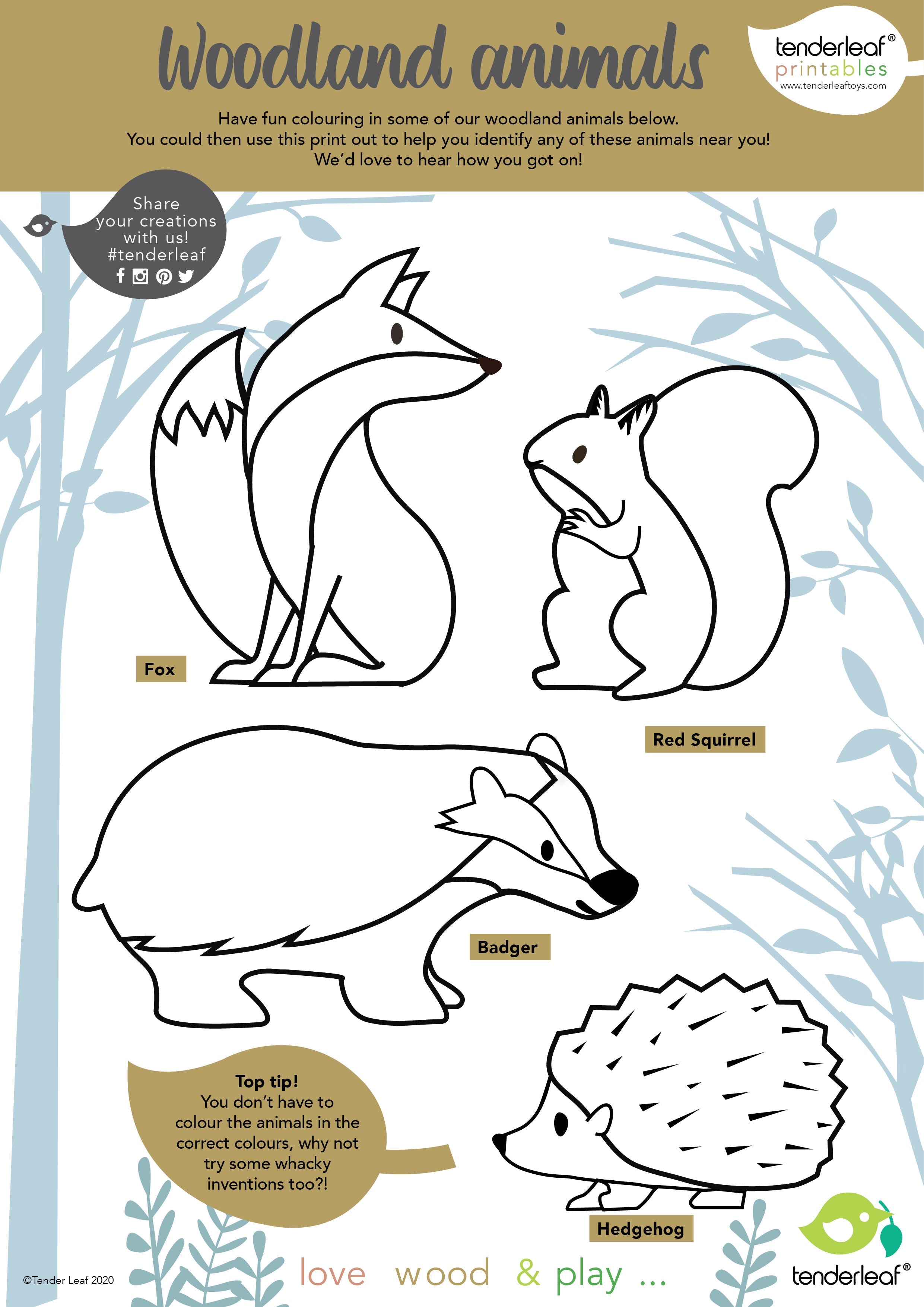 8 Woodland Animals Shelf Set